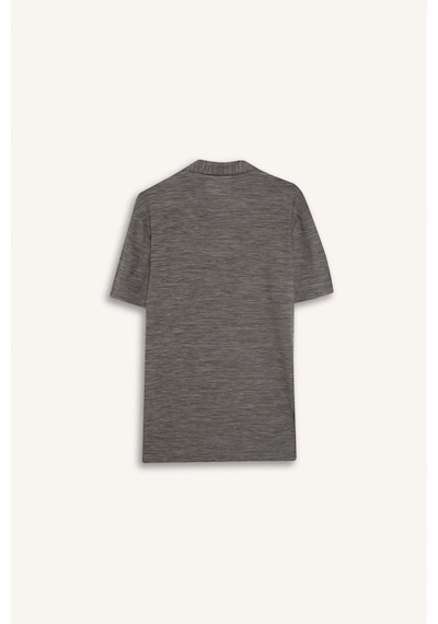 DeFactoFit Esnek Kumaş Standart Fit Polo Yaka Sporcu Kısa Kollu Tişört D9241AX25SPGR388
