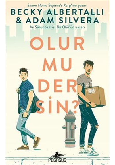 Olur Mu Dersin / Adam Silvera