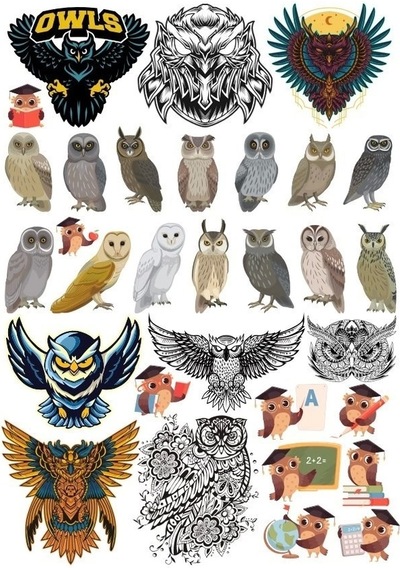 Baykuş Sticker Set 20 Parça Telefon, Tablet, Defter, Laptop Sticker