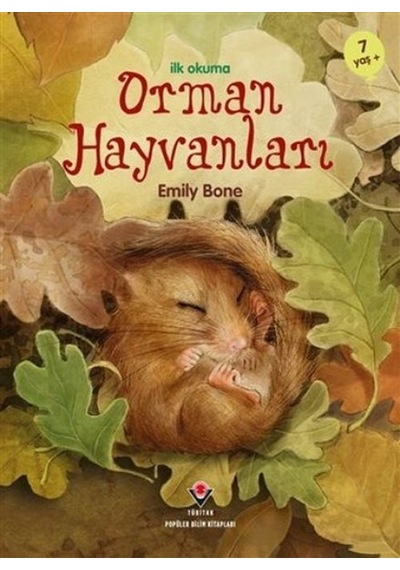 İlk Okuma - Orman Hayvanları - Kyut-814792