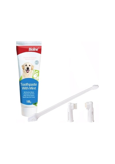 Bioline Nane Aromalı Köpek Ağız Bakım Seti 100 G