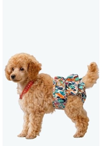 Köpek Regl Ve Çiş Bezleri, 3'lü Avantajlı Paket, 1 Paket 3 Desen Tropical, Small