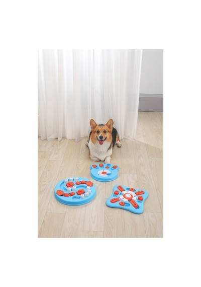 M-pets Braıny Games Eınsteın Puzzle 3.seviye