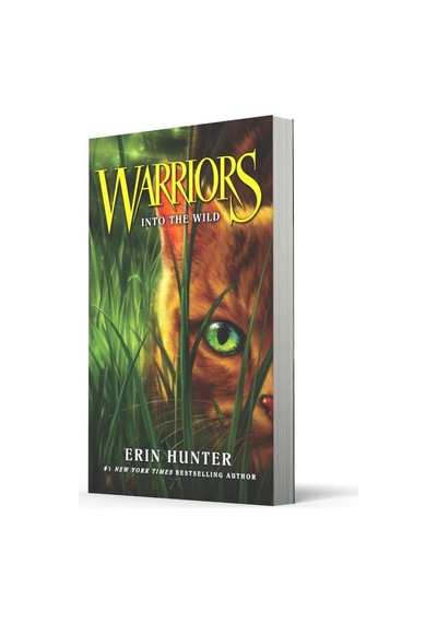 Into The Wild: Book 1