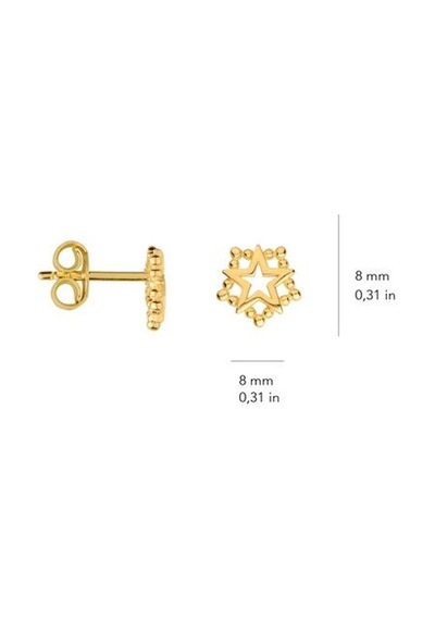 Goldkupe 14 Ayar Altın Yıldız Küpe 1,22 Gr-2185