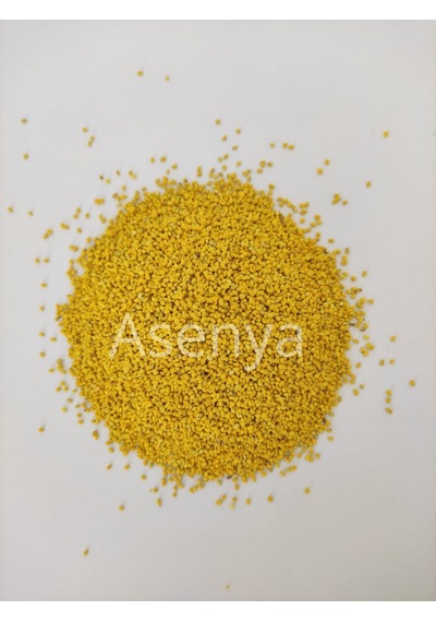 Yonca Tohumu Gea Yonca 1 KG İthal Yonca Tohumu Gea Yonca Tohumu