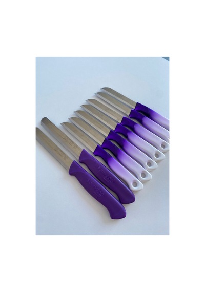 Solingen Simli Meyve Bıçağı 6+2 Doğrama Bıçağı