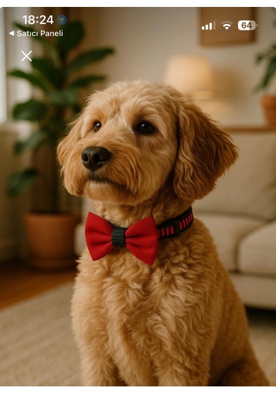Ayarlanabilir Kedi Köpek Papyonu Kırmızı M