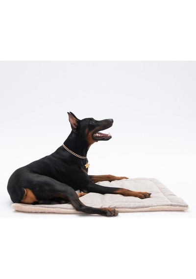Pawstar Lüx Pet Mat Kedi Köpek Yatağı Yıkanabilir Bej 50-70cm