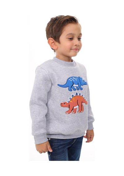 Toontoy Kids Toontoy Erkek Çocuk Relax Fit Bisiklet Yaka Baskılı Sweatshirt - 2iplik Gri