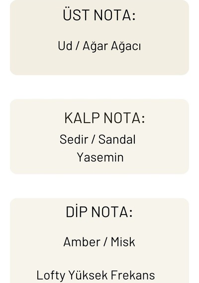 Lofty Yüksek Frekans Uçucu Yağ Buhurdanlık Esansı Oda Kokusu 10 ML
