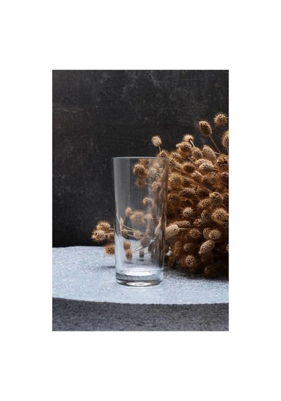 52138 Rakı Ve Limonata Bardağı 175 Cc 6'lı
