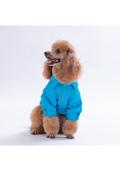 Turkuaz Cancun - Cancún Ceket Gabardin Çıtçıtlı Kedi Köpek Ceketi Kedi Köpek Kıyafeti Kedi Köpek Elbisesi