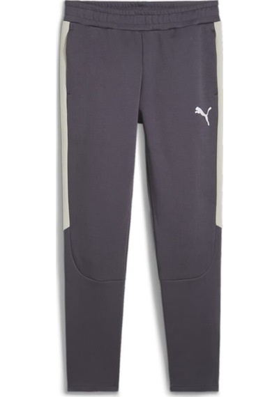 Puma Erkek Sweat Pant Evostrıpe Pants 68170269 001