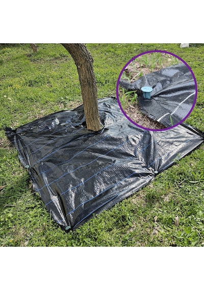5x5 Metre Ağaç Koruma Örtüsü Ve Sabitleme Çivisi Yer Örtüsü Yabani Ot Engelleme Paspası Ağaç Dibi Bezi Sulzer Kumaş