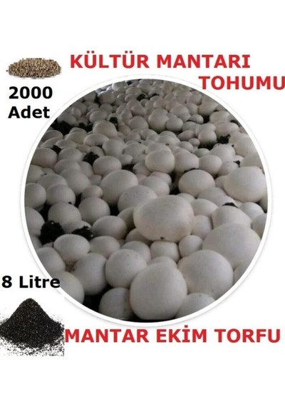 3000 Adet Beyaz Şapkalı Kültür Mantarı Tohumu + 13 Litre Mantar Ekim Torfu Ve Mantar Ekim Yönergesi