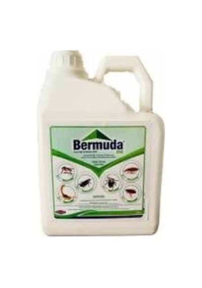 Bermuda EW Genel Haşere 5 L