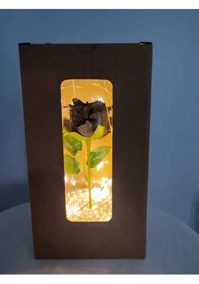 Siyah Gül Işıklı Fanus