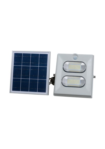 100W Solar Projektör