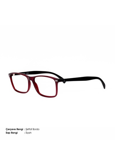 Vinaldi Vi 2049 C.6001 55 Unisex Mavi Işık Korumalı Ekran Gözlüğü