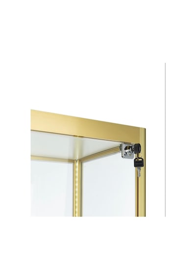 Led Aydınlatmalı Camlı Vitrin Koleksiyon Vitrini Dts400Gold Altın