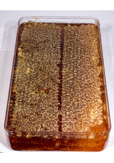 Gökmen Fenni Petek Çam Balı (1 KG)