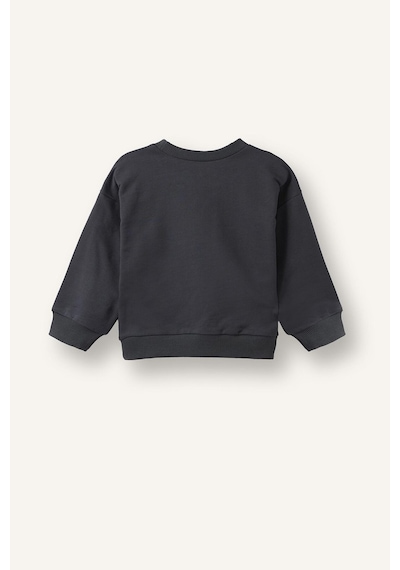 Defacto %100 Pamuk Regular Fıt Bisiklet Yaka Basic 2li Sweatshirt Set Erkek Bebek H8400a526auar31 Antrasit-ar31