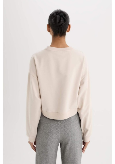 DeFacto Fit Bisiklet Yaka Basic Düz Sporcu Kadın Sweatshirt - Bej D7119AX25SPBG700