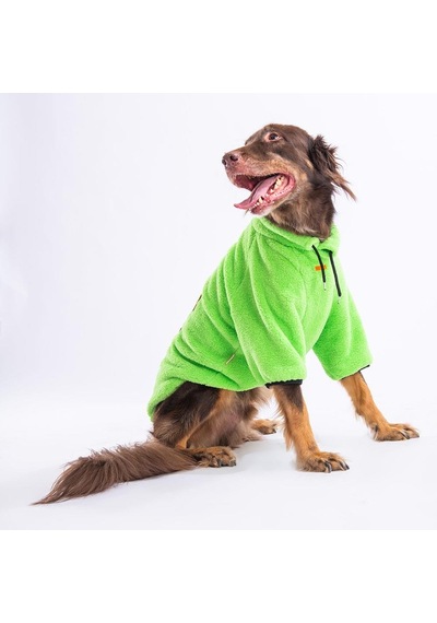 Pawstar Yeşil Sweet Orta Büyük Irk Köpek Pofuduk Sweatshirt