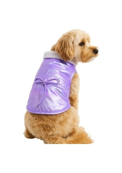 Gedyco Shiny LKalın Polarlı Küçük Irk Köpek Yeleği Çok Renkli XL