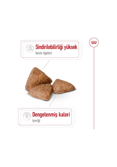 Royal Canin Mini Indoor Yetişkin Köpek Maması 1500 G