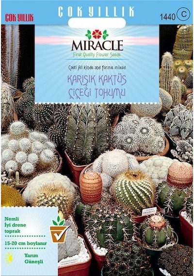 Miracle Karışık Kaktüs Bitkileri Çiçeği Tohumu 1000 Tohum