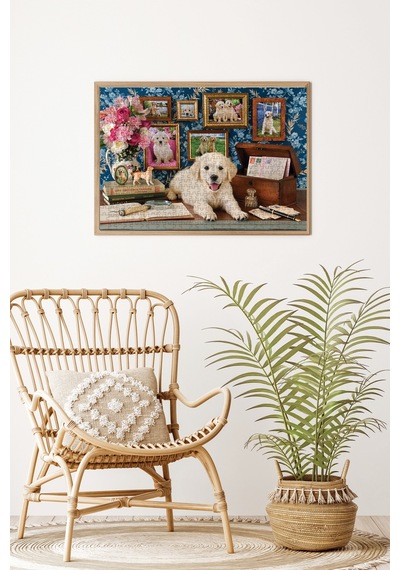 Anatolian 500 Parçalık Puzzle - Labrador 3637