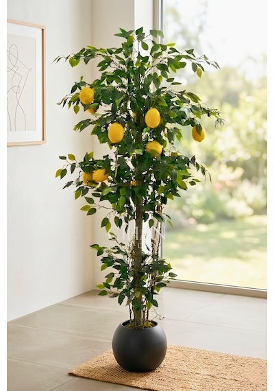 10 Limonlu Yapay Limon Ağacı 180 Cm Küre Saksılı Beyaz