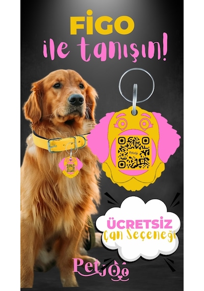 Petjoo 27.Figo Pembe-Sarı Qr'lı Köpek Künyesi