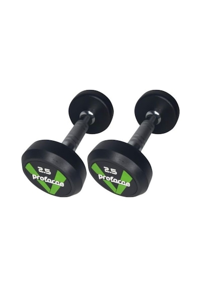 Dambıl Ağırlık Adet Db2,5 Kg