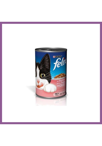 Ren.ga.renk Kedi Konserve Somonlu 400gr 1 Adet Rengaren
