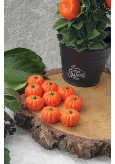 10 Lu Mini Balkabağı Dekor