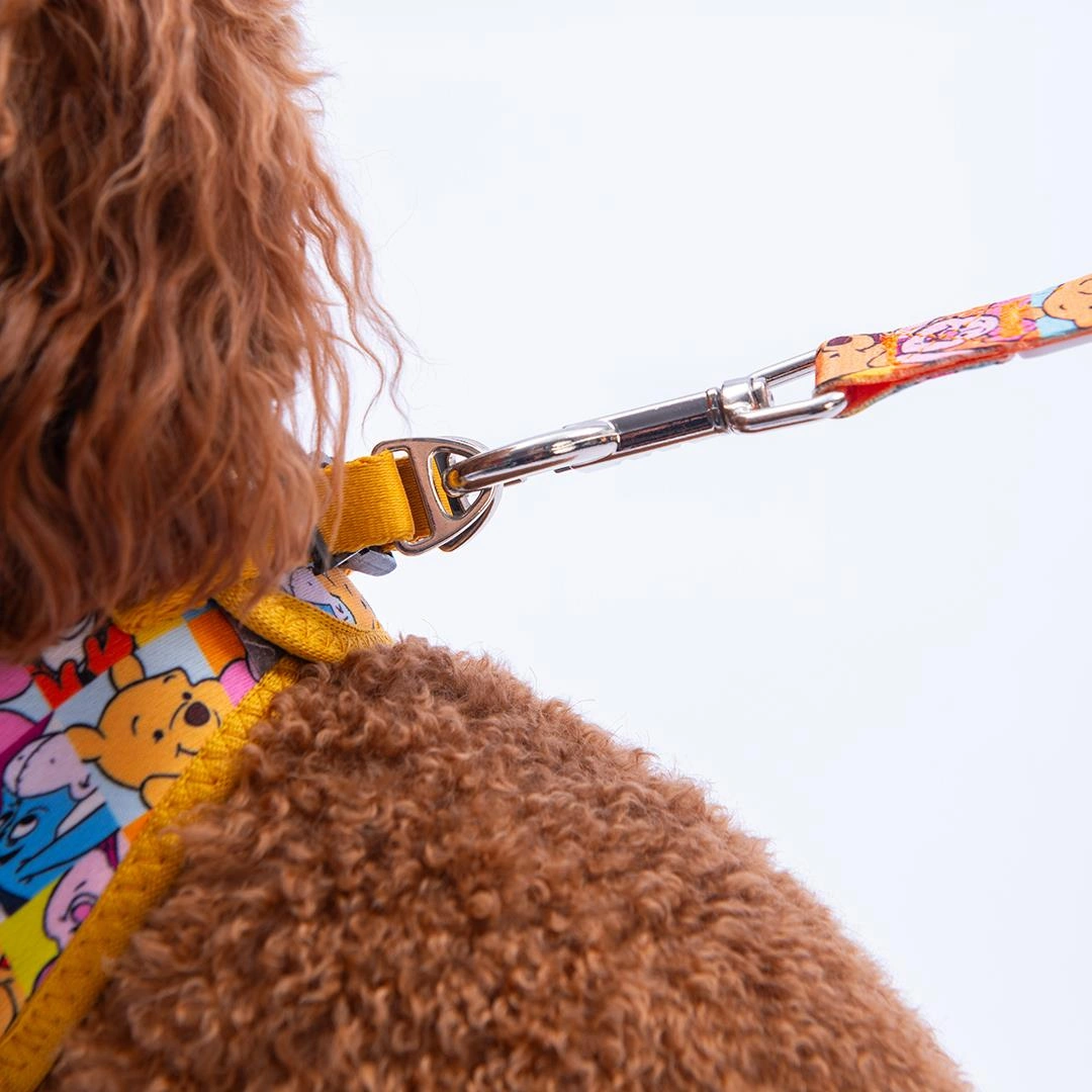 Winnie Team Göğüs Tasması Ve Sevk Kayışı Tasma Seti Winnie Ve Arkadaşları Kedi Köpek Göğüs Tasması Seti L Sarı