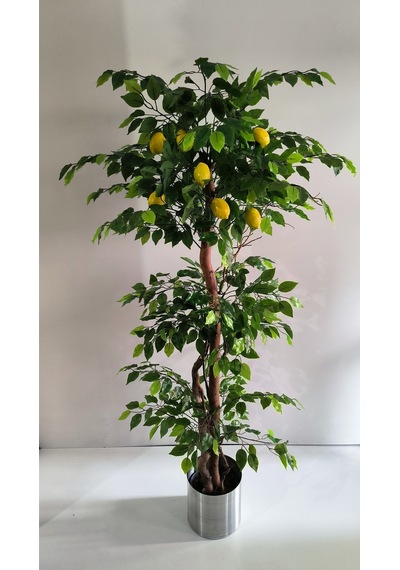 Rüzgar Yapay Çiçekçilik 180 Cm Limon Ağacı Yeşil