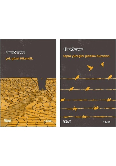 Hirai Zerdüş Çok Güzel Tükendik + Topla Yüreğini Gidelim Buradan 2 Kitap