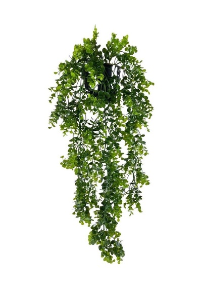 Nettenevime Yapay Çiçek Saksıda Sarkan Şimşir Okaliptus Yapay Sarmaşık 60cm Çok Renkli