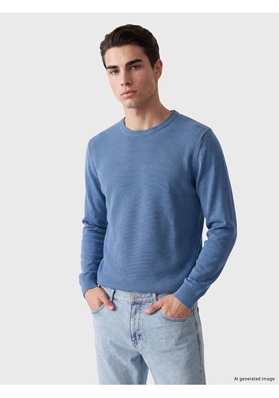 Lcwaıkıkı Classic Mavi Bisiklet Yaka Desenli Erkek Regular Fit Triko Kazak