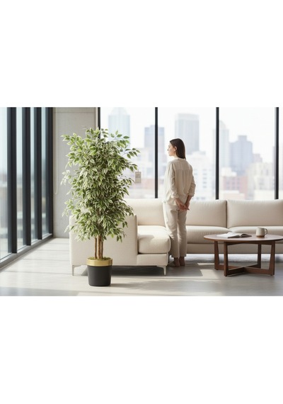 150 Cm Yapay Ficus Siyah Gold 30x30 Dekoratif Ağaç