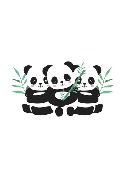 Paybuy Kadın Panda Baskılı Grafik Tişört Üç Desenli Mizahi Yazı Detaylı Siyah