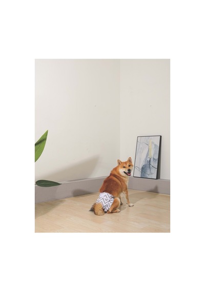 M-pets Dişi Köpekler İçin Yıkanabilir Külot L