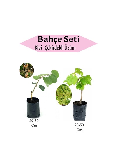 2'li Set Kivi+ Çekirdekli Üzüm Fidanı