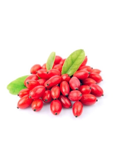 Bahçevilya 2 Yaşında Gojiberry Fidanı Tüplü
