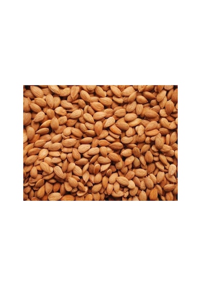 Magro Tuzlu Kavrulmuş Kayısı Bademi Kayısı Çekirdek 1kg Günkurusu Diğer
