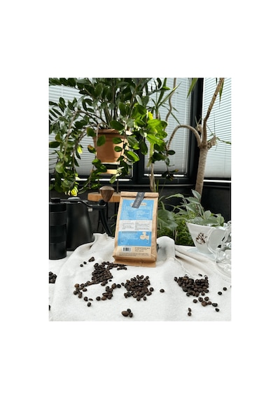 Guetemala Huehuetenango Çekirdek Kahve V60